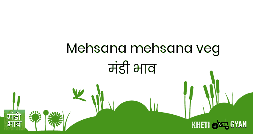 Mehsana(Mehsana Veg) मंडी भाव की ताज़ा तस्वीर
